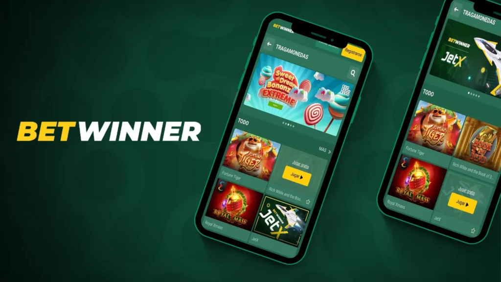 Bet Winner Casino
