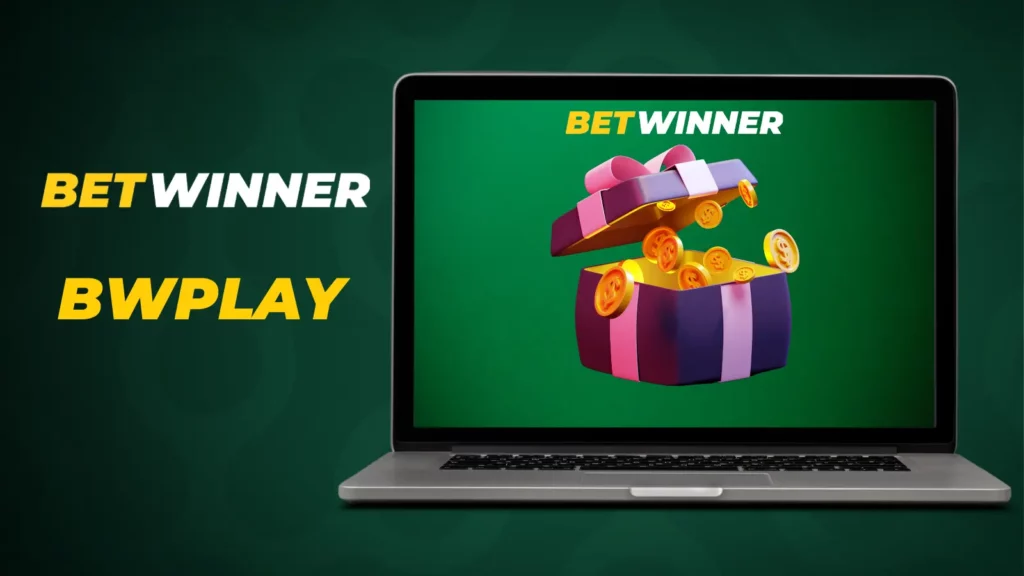 Bet winner Casino